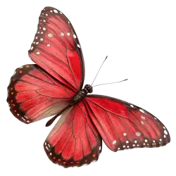 Imagen PNG para descargar